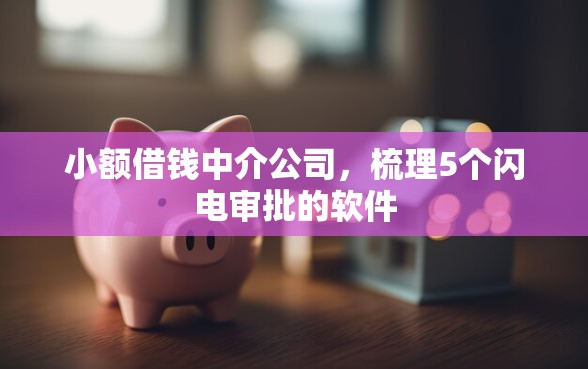小额借钱中介公司，梳理5个闪电审批的软件