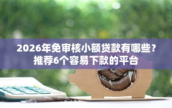 2026年免审核小额贷款有哪些？推荐6个容易下款的平台