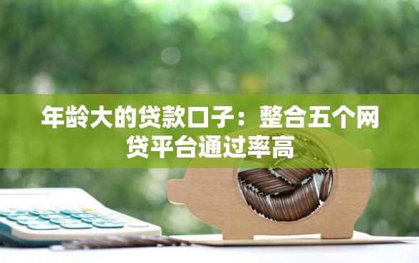 年龄大的贷款口子：整合五个网贷平台通过率高