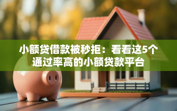 小额贷借款被秒拒：看看这5个通过率高的小额贷款平台