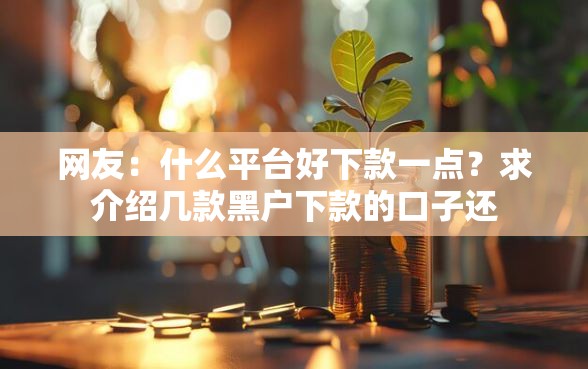 网友：什么平台好下款一点？求介绍几款黑户下款的口子还