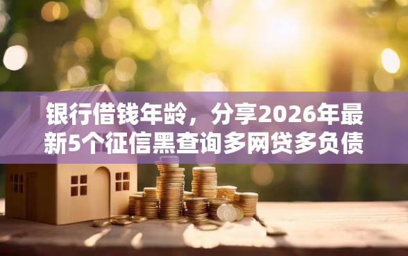 银行借钱年龄，分享2026年最新5个征信黑查询多网贷多负债高还能百分百下款平台