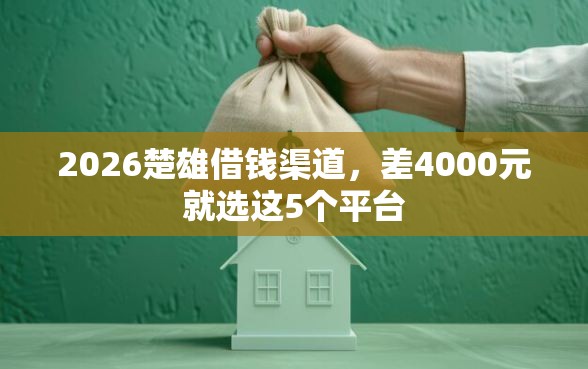2026楚雄借钱渠道，差4000元就选这5个平台