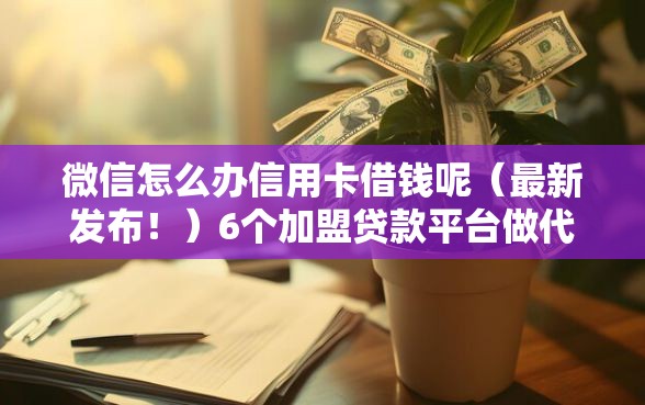微信怎么办信用卡借钱呢（最新发布！）6个加盟贷款平台做代理