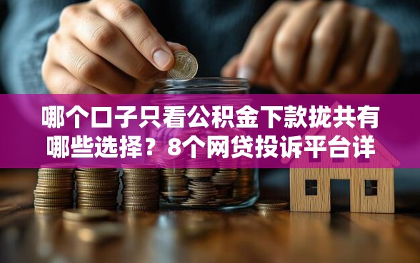 哪个口子只看公积金下款拢共有哪些选择？8个网贷投诉平台详解