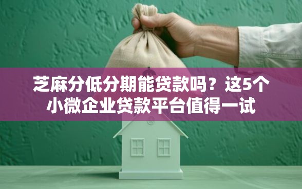 芝麻分低分期能贷款吗？这5个小微企业贷款平台值得一试