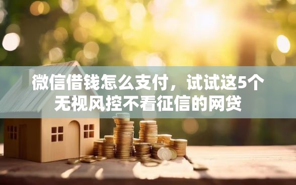 微信借钱怎么支付，试试这5个无视风控不看征信的网贷