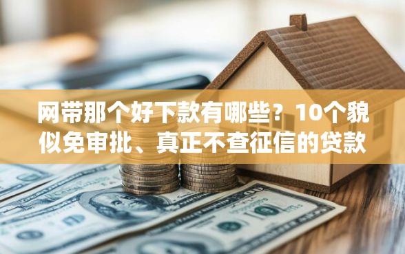 网带那个好下款有哪些？10个貌似免审批、真正不查征信的贷款app合集