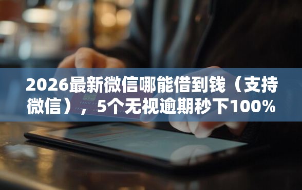 2026最新微信哪能借到钱（支持微信），5个无视逾期秒下100%款的口子无私分享