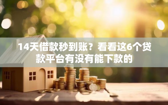 14天借款秒到账？看看这6个贷款平台有没有能下款的