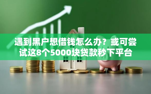 遇到黑户想借钱怎么办？或可尝试这8个5000块贷款秒下平台