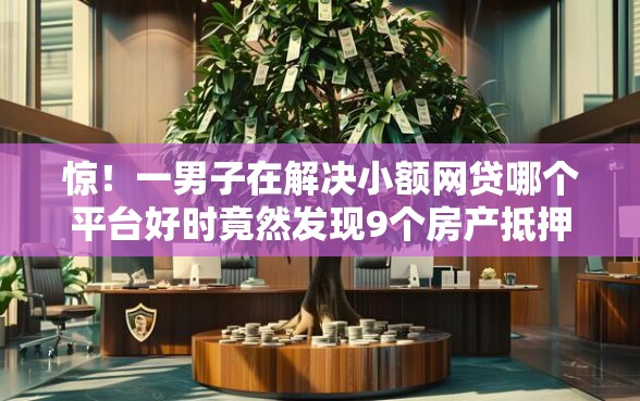 惊！一男子在解决小额网贷哪个平台好时竟然发现9个房产抵押贷款平台，事后分享了出来