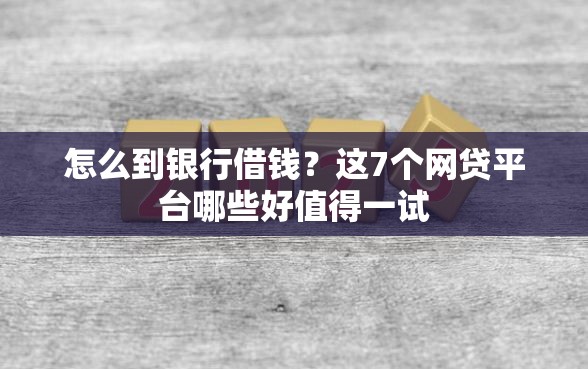怎么到银行借钱？这7个网贷平台哪些好值得一试