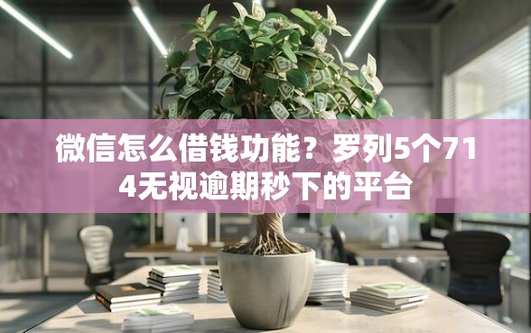微信怎么借钱功能？罗列5个714无视逾期秒下的平台