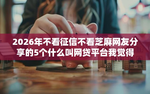 2026年不看征信不看芝麻网友分享的5个什么叫网贷平台我觉得不错！