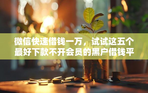 微信快速借钱一万，试试这五个最好下款不开会员的黑户借钱平台