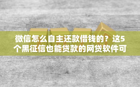 微信怎么自主还款借钱的？这5个黑征信也能贷款的网贷软件可以试试