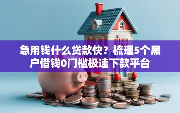 急用钱什么贷款快？梳理5个黑户借钱0门槛极速下款平台