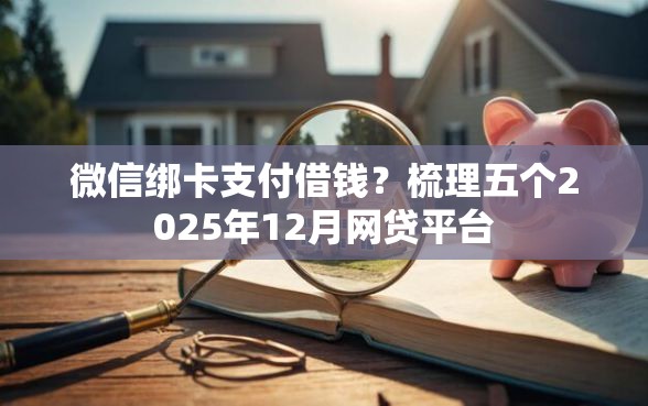 微信绑卡支付借钱？梳理五个2025年12月网贷平台