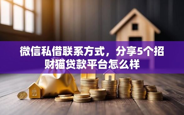 微信私借联系方式，分享5个招财猫贷款平台怎么样