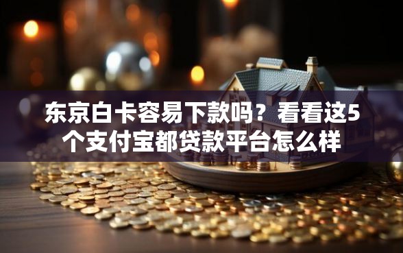 东京白卡容易下款吗？看看这5个支付宝都贷款平台怎么样