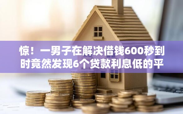 惊！一男子在解决借钱600秒到时竟然发现6个贷款利息低的平台正规，事后分享了出来