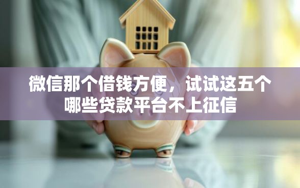 微信那个借钱方便，试试这五个哪些贷款平台不上征信