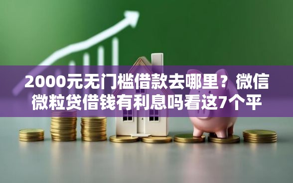 2000元无门槛借款去哪里？微信微粒贷借钱有利息吗看这7个平台