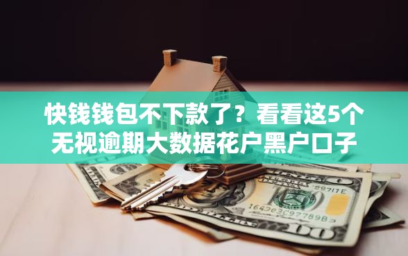 快钱钱包不下款了？看看这5个无视逾期大数据花户黑户口子