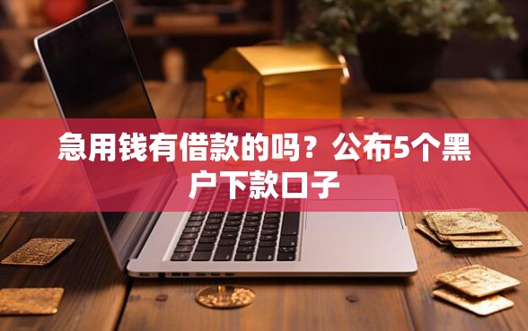 急用钱有借款的吗?公布5个黑户下款口子 急用钱有借款的吗?公布5个黑户下款口子