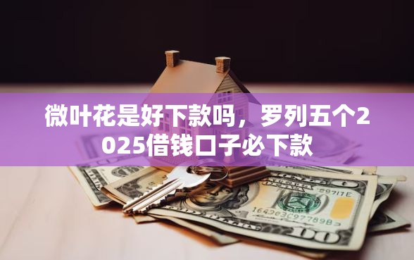 微叶花是好下款吗，罗列五个2025借钱口子必下款
