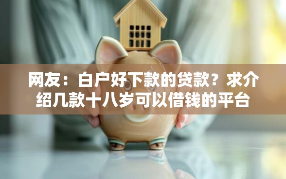 网友：白户好下款的贷款？求介绍几款十八岁可以借钱的平台