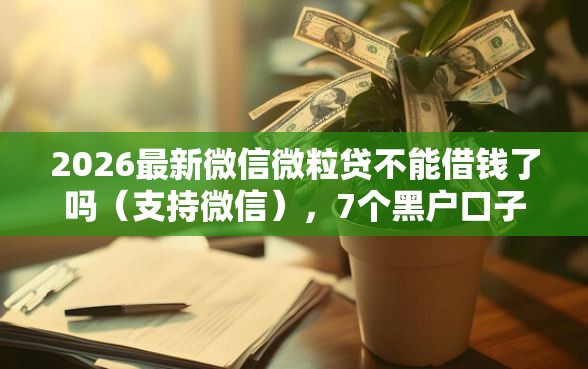 2026最新微信微粒贷不能借钱了吗(支持微信),7个黑户口子必下款无私分享 2026最新微信微粒贷不能借钱了吗(支持微信),7个黑户口子必下款无私分享
