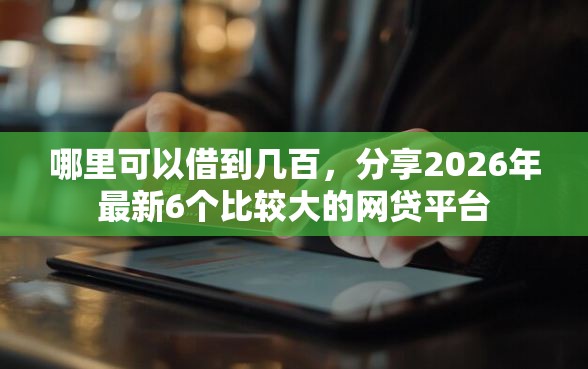 哪里可以借到几百，分享2026年最新6个比较大的网贷平台
