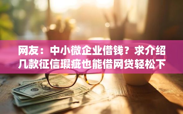 网友：中小微企业借钱？求介绍几款征信瑕疵也能借网贷轻松下款的app