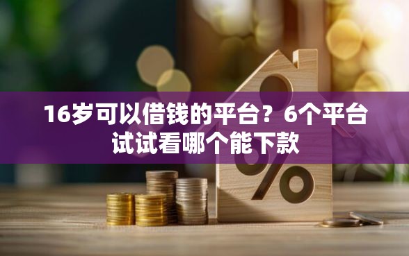 16岁可以借钱的平台？6个平台试试看哪个能下款