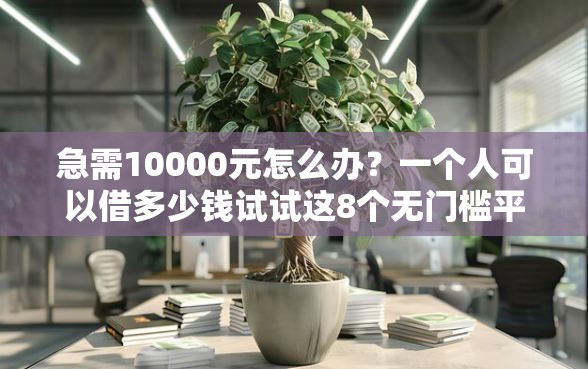 急需10000元怎么办？一个人可以借多少钱试试这8个无门槛平台