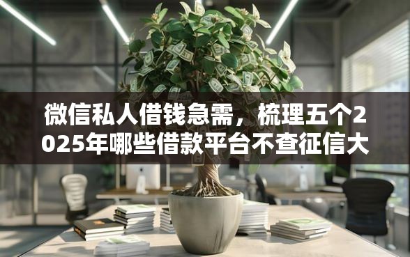 微信私人借钱急需，梳理五个2025年哪些借款平台不查征信大数据