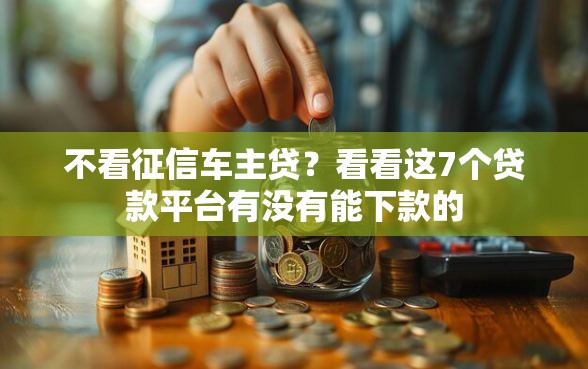 不看征信车主贷？看看这7个贷款平台有没有能下款的