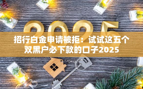 招行白金申请被拒：试试这五个双黑户必下款的口子2025