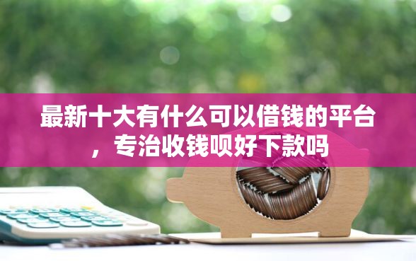 最新十大有什么可以借钱的平台，专治收钱呗好下款吗