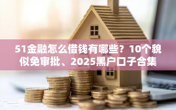 51金融怎么借钱有哪些？10个貌似免审批、2025黑户口子合集