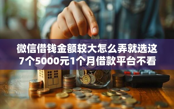 微信借钱金额较大怎么弄就选这7个5000元1个月借款平台不看征信