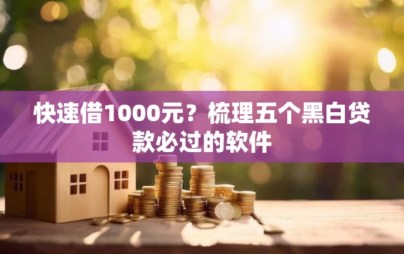 快速借1000元？梳理五个黑白贷款必过的软件