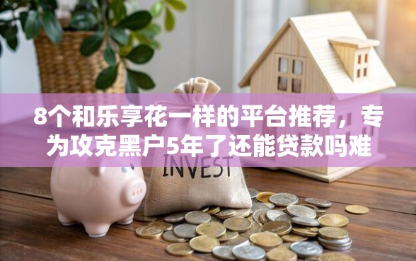 8个和乐享花一样的平台推荐，专为攻克黑户5年了还能贷款吗难题