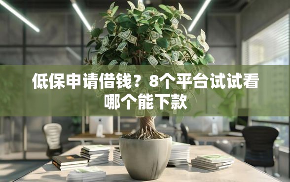 低保申请借钱？8个平台试试看哪个能下款