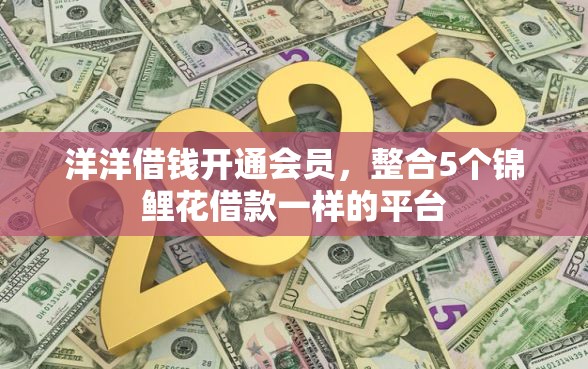 洋洋借钱开通会员,整合5个锦鲤花借款一样的平台 洋洋借钱开通会员,整合5个锦鲤花借款一样的平台