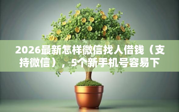 2026最新怎样微信找人借钱（支持微信），5个新手机号容易下款的软件无私分享