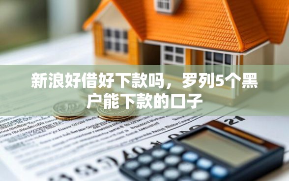 新浪好借好下款吗，罗列5个黑户能下款的口子