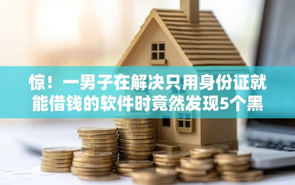 惊！一男子在解决只用身份证就能借钱的软件时竟然发现5个黑口子不看征信无视大数据，事后分享了出来